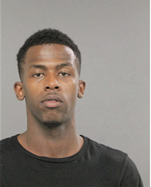 SHONDEL T PRUITT, Cook County, Illinois
