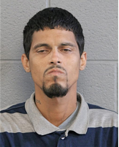 ANTONIO SAEZ RODRIGUEZ, Cook County, Illinois