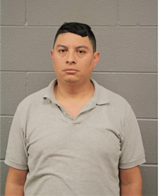 VICTOR S RUIZ, Cook County, Illinois