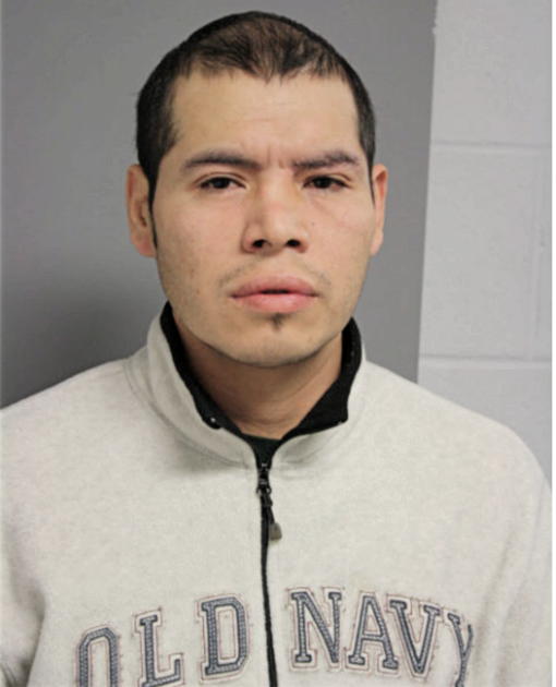 JAVIER SANCHEZ, Cook County, Illinois