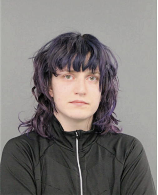 GABRIELE G STUNDZIAITE, Cook County, Illinois