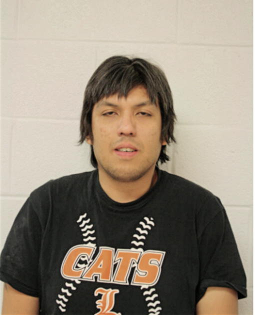 LEMUEL V VICENCIO, Cook County, Illinois