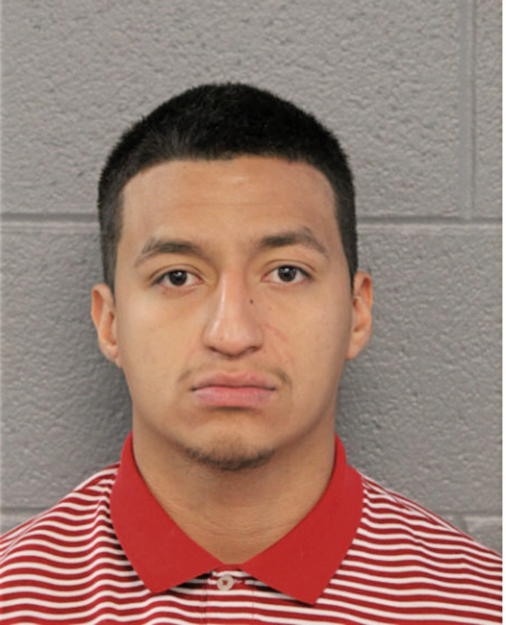 JOSE G VIZCARRA, Cook County, Illinois