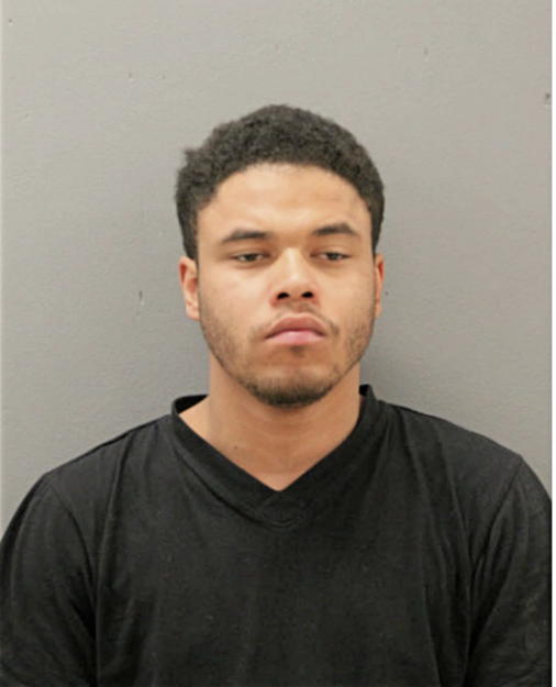 ROBERT J WILLIS, Cook County, Illinois