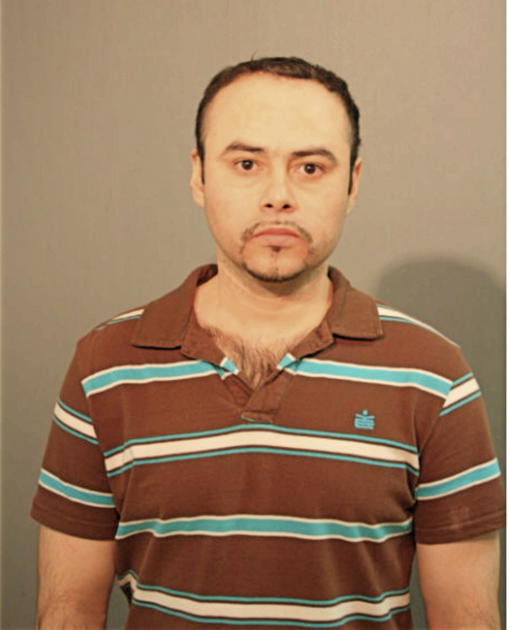 SERGIO ZARCO, Cook County, Illinois
