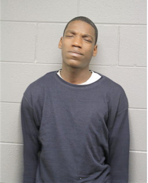 JAMES P ABRAHAM, Cook County, Illinois