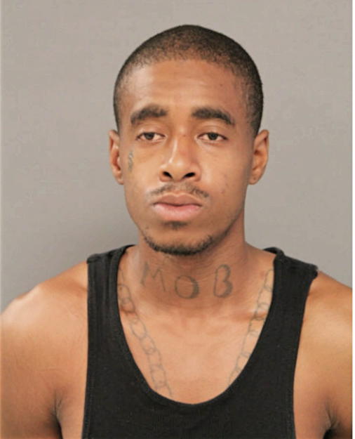 STEVEN A BROWN, Cook County, Illinois