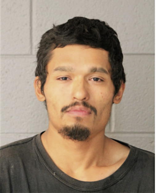 DAVID C CALVILLO, Cook County, Illinois