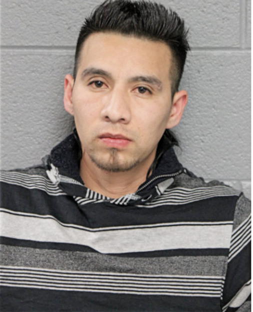 JESUS R CERDA, Cook County, Illinois