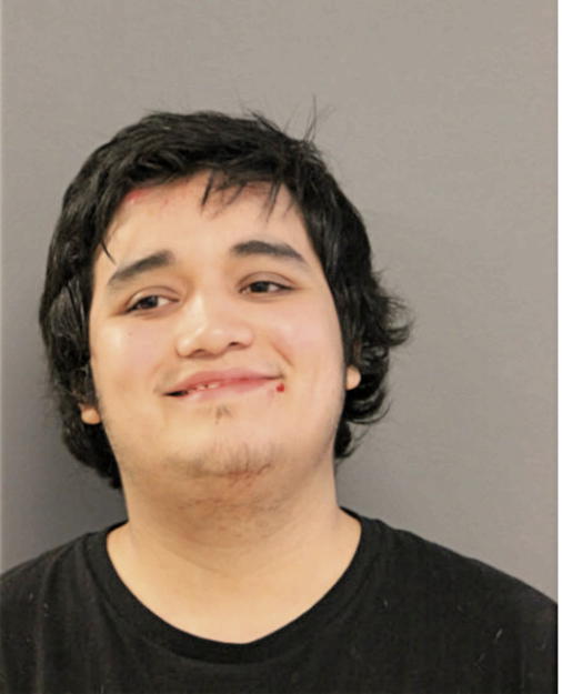 GUSTAVO ESTRELLA, Cook County, Illinois