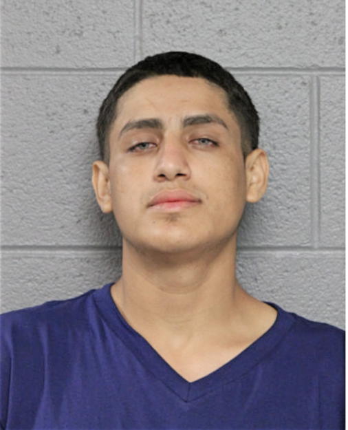 IGNACIO FERNANDEZ, Cook County, Illinois