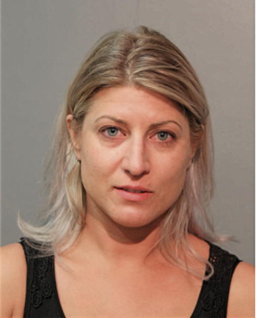DANIELLE M FIGIEL, Cook County, Illinois