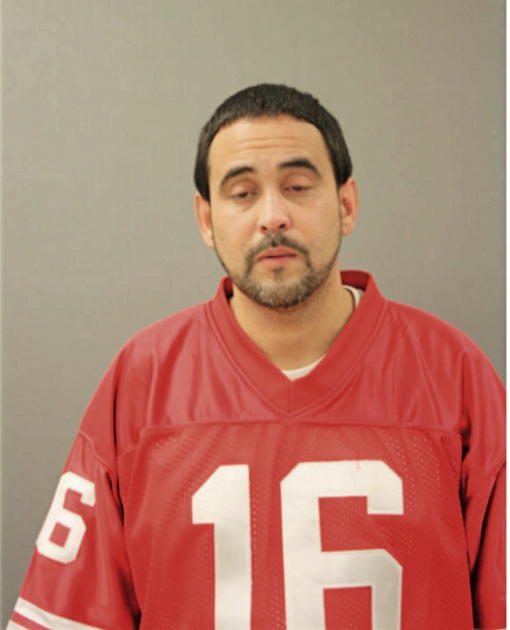 LUIS C FLORES, Cook County, Illinois