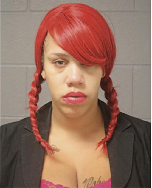 DARIANNE L FOWLER, Cook County, Illinois
