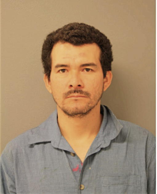 JESUS ARMANDO GOMEZ, Cook County, Illinois
