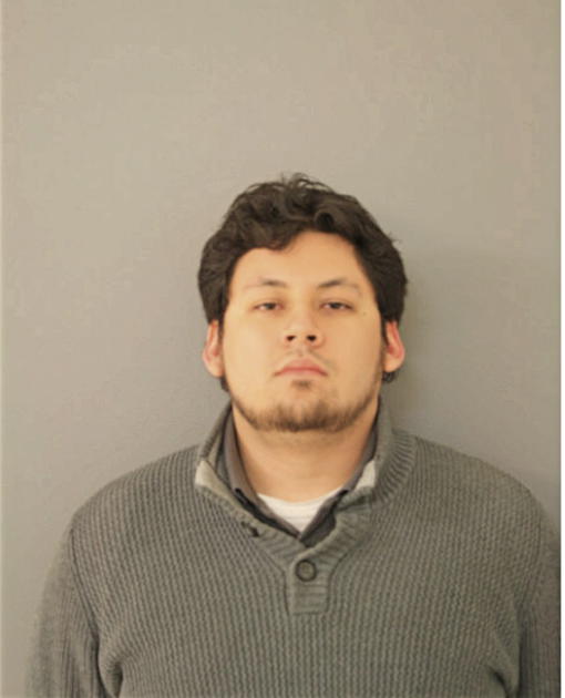 MANUEL A GONZALEZ, Cook County, Illinois