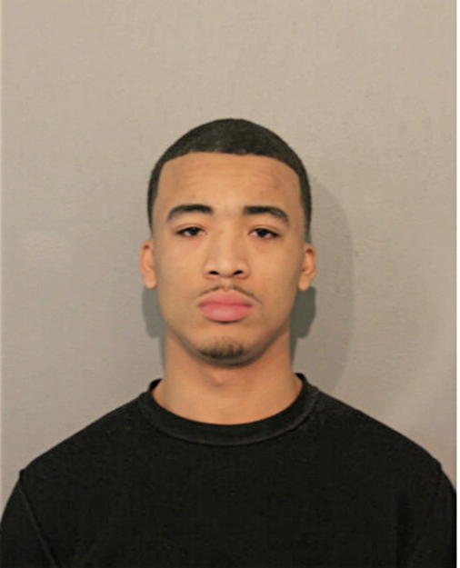 ANTHONY D HAMPTON, Cook County, Illinois
