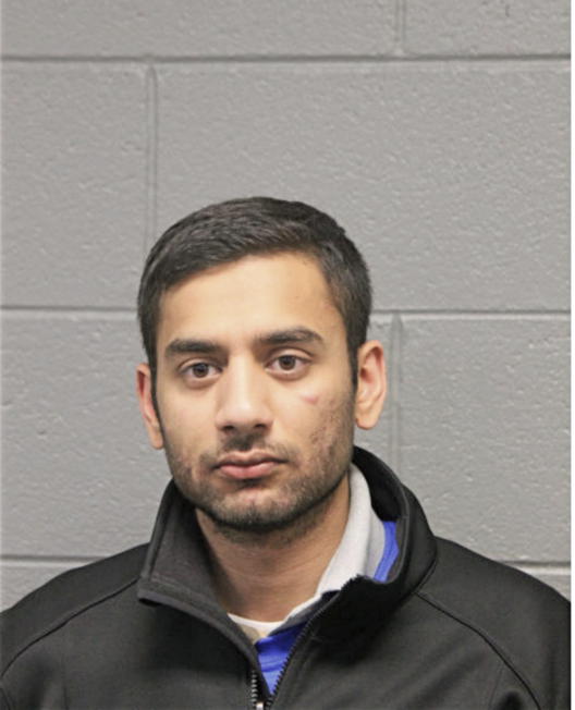 AMIR HAMZA, Cook County, Illinois