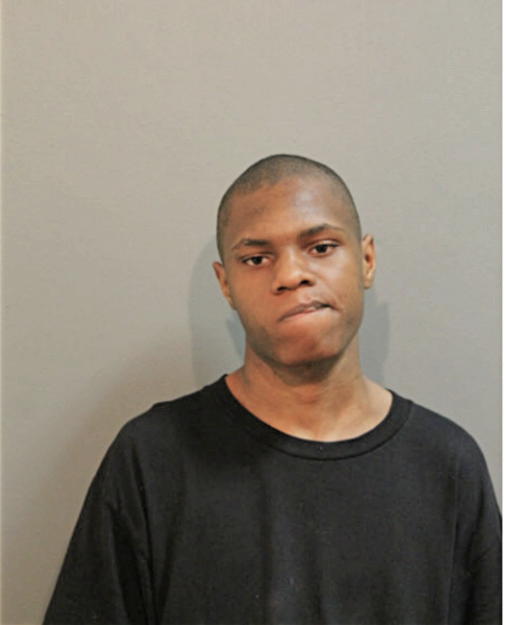 THEOPHILUS D HAYES, Cook County, Illinois