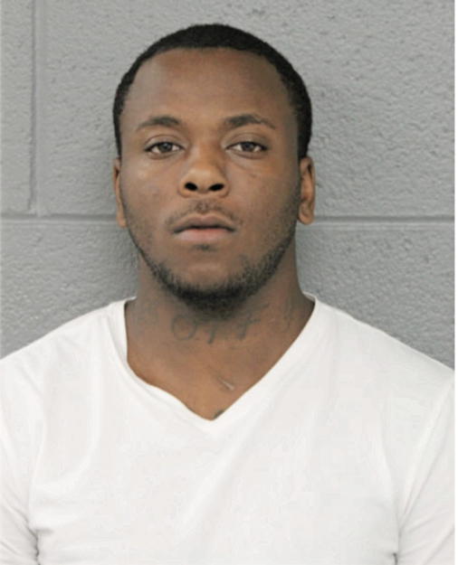 DAMON S JOHNSON, Cook County, Illinois
