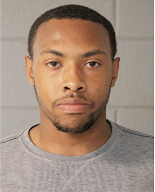 JOHNATHAN J JOHNSON, Cook County, Illinois