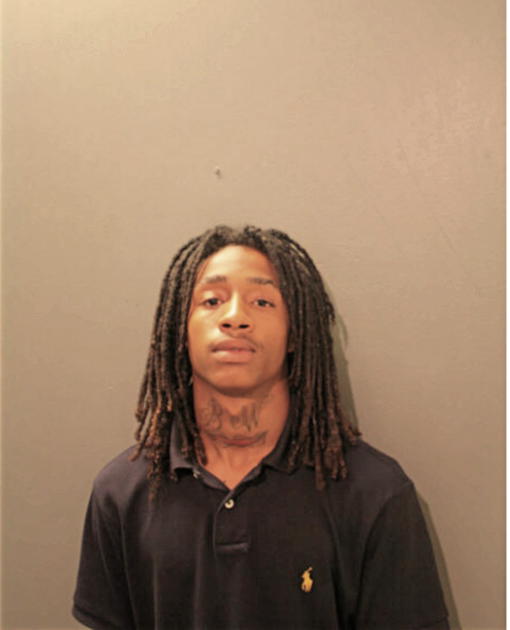 TERRENCE E MCKINNIS, Cook County, Illinois