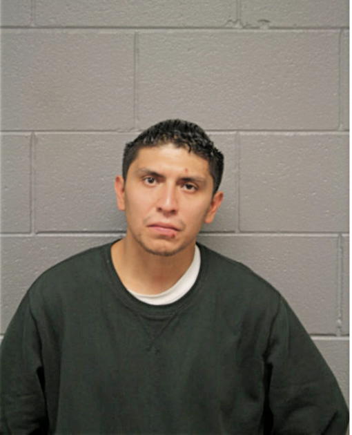 JOHNNY MORENO, Cook County, Illinois
