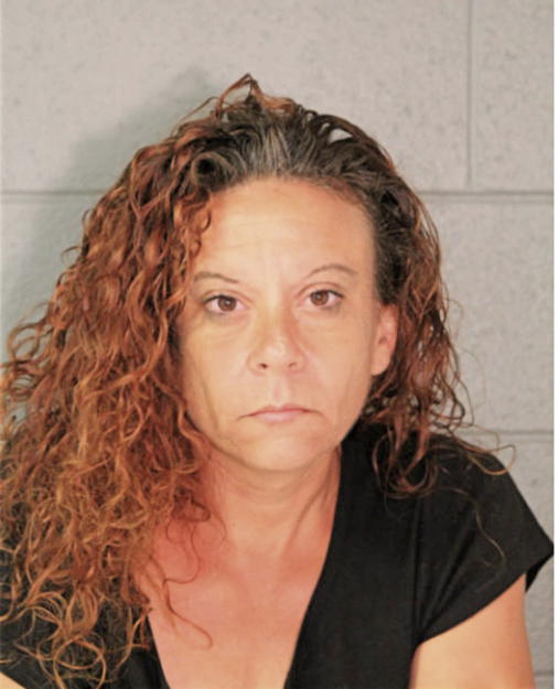 JANICE L NICASTRO, Cook County, Illinois