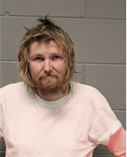 DANIEL PALMER, Cook County, Illinois