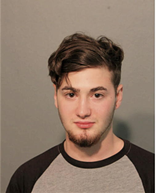 DAVID B RICE, Cook County, Illinois
