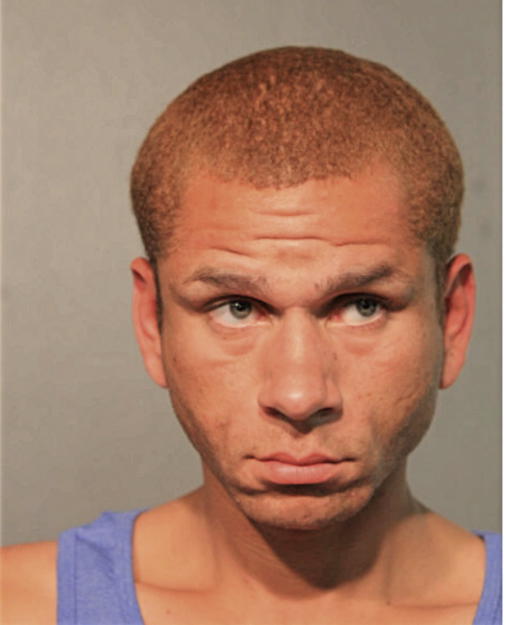 DAVID J ROBINSON, Cook County, Illinois