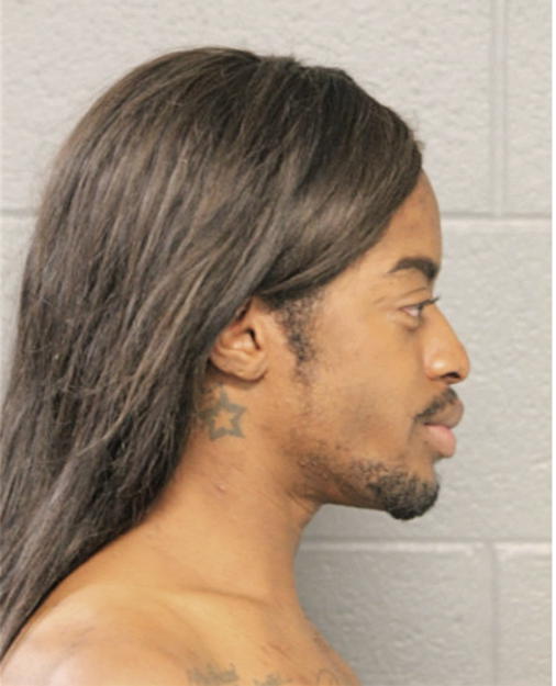 DARREN DE SHAWN LEWIS, Cook County, Illinois