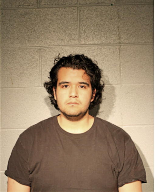 HORACIO C SOTO, Cook County, Illinois