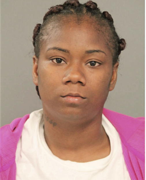 THERESA M TIMBERLAKE, Cook County, Illinois