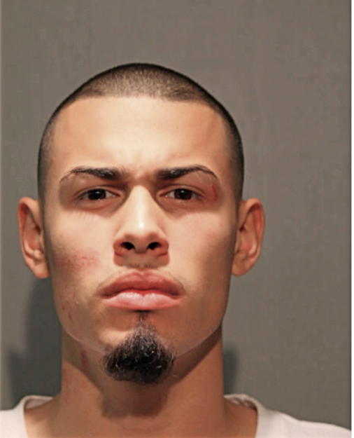 LUIS S VELA, Cook County, Illinois