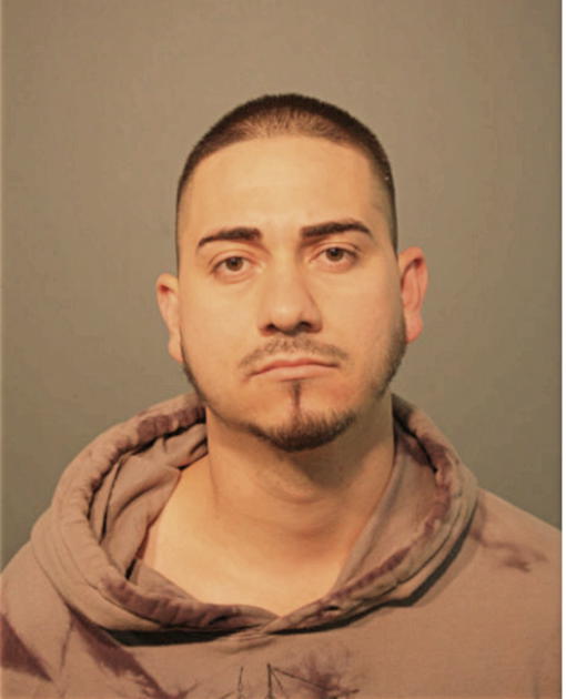 NELSON SOLIZ VIDAL, Cook County, Illinois