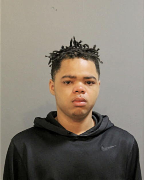 JOSHUA S BENAMON, Cook County, Illinois