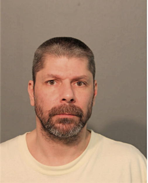 BRETT E BRANDO, Cook County, Illinois