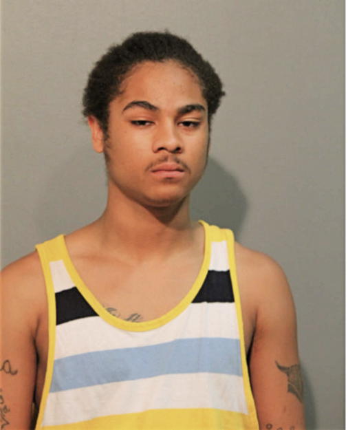 KAMAURI L CAMARILLO, Cook County, Illinois