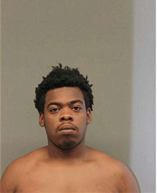 DAVID D COLEMAN, Cook County, Illinois
