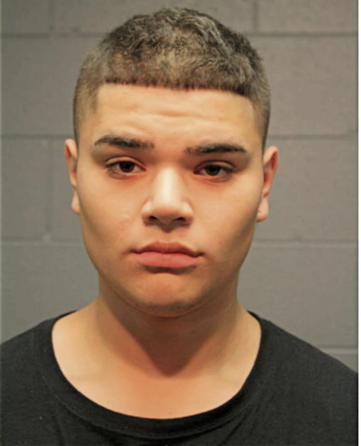 CHRISTIAN COVARRUBIAS, Cook County, Illinois