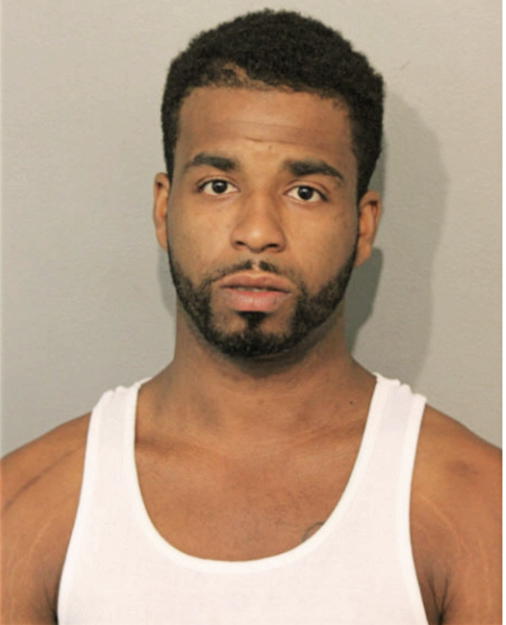 DAVID L DAVIS, Cook County, Illinois