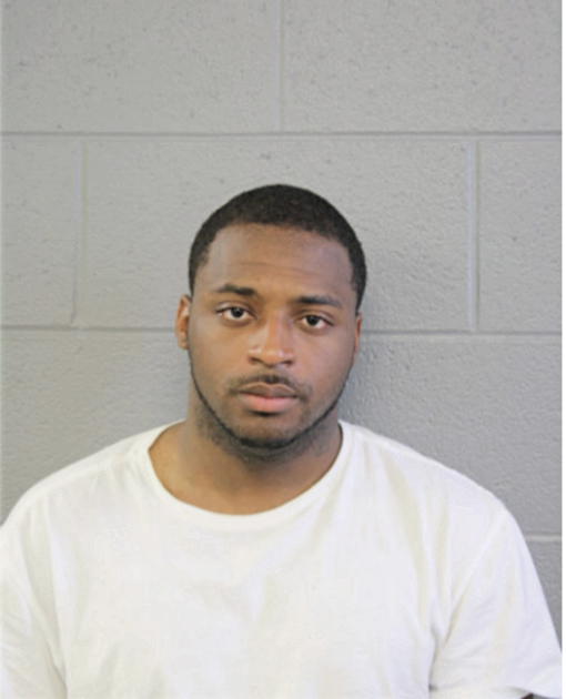 DAVID D FERGUSON, Cook County, Illinois
