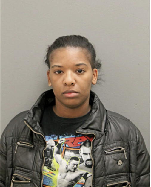 AUDRE N FLOYD, Cook County, Illinois