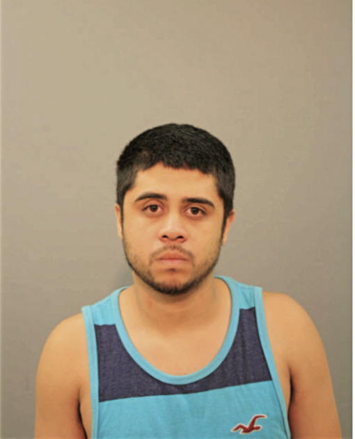 LUIS A GARCIA, Cook County, Illinois