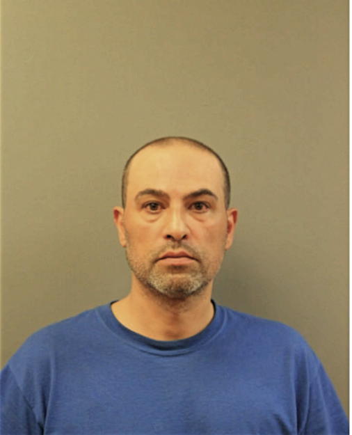 DANIEL B GONZALEZ, Cook County, Illinois