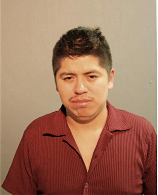 MIGUEL R GONZALEZ, Cook County, Illinois