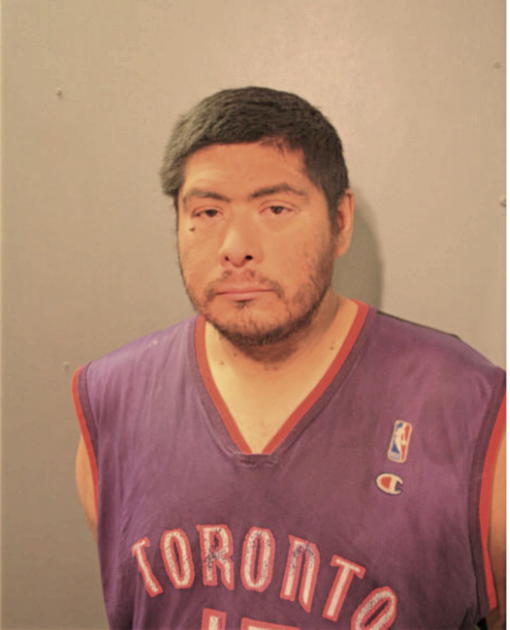 JAMES K GOSCINIAK, Cook County, Illinois