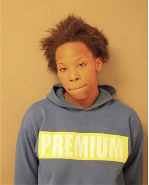DEQUISE J HAMMICK, Cook County, Illinois