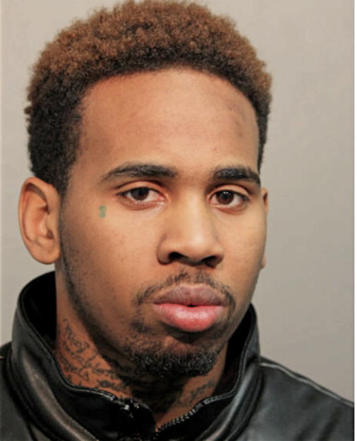 DANIEL J JOHNSON, Cook County, Illinois